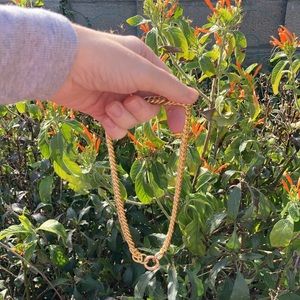 Lili Claspe Vega Link Choker